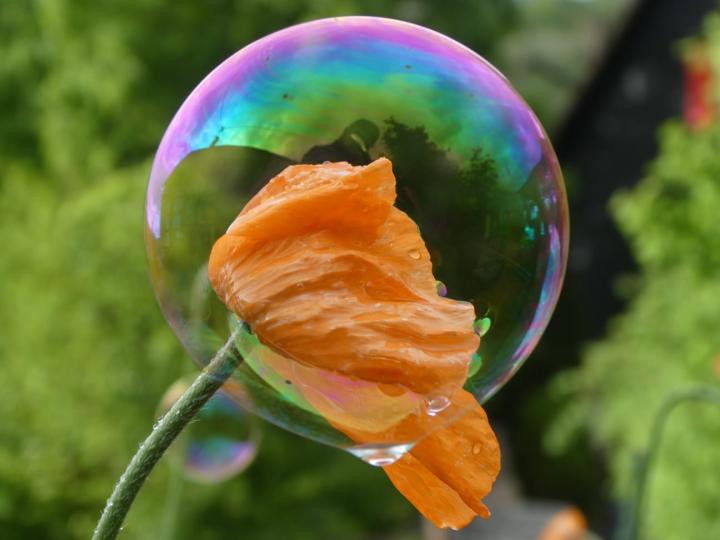 Blüte mit Seifenblase