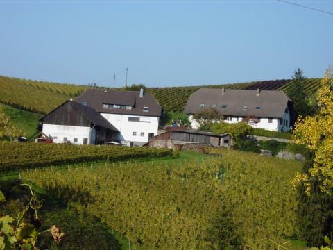 Weingut Schelzberg
