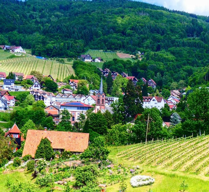Übersicht Garten_Haus_Dorf